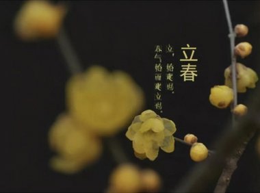 二十四节气 | 立春习俗